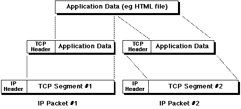 Data/Segment/Packet
Encapsulation